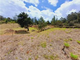  Grundstück zu verkaufen in Guarne, Antioquia, Guarne, Antioquia, Kolumbien