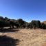  Terreno (Parcela) en venta en Ensenada, Baja California, Ensenada