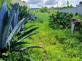  Land for sale in Ocozocoautla De Espinosa, Chiapas, Ocozocoautla De Espinosa
