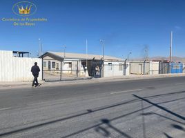  Terreno (Parcela) en alquiler en Antofagasta, Calama, El Loa, Antofagasta