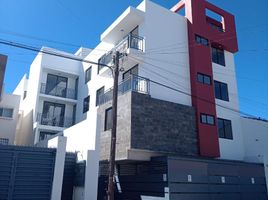 Studio Appartement zu verkaufen in San Luis Potosi, San Luis Potosi, San Luis Potosi, San Luis Potosi
