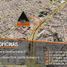0 SqM Office for sale in San Luis Potosi, San Luis Potosi, San Luis Potosi