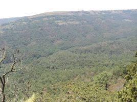  Grundstück zu verkaufen in San Luis Potosi, San Luis Potosi, San Luis Potosi, San Luis Potosi