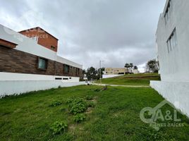 在Coatepec, Veracruz出售的 土地, Coatepec