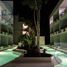 1 Bedroom Apartment for rent in Cozumel, Quintana Roo, Cozumel