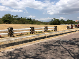  Land for sale in San Jose, San Carlos, San Jose