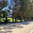  Land for sale in Chile, Puchuncavi, Valparaiso, Valparaiso, Chile