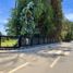  Land for sale in Chile, Puchuncavi, Valparaiso, Valparaiso, Chile
