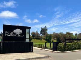  Land for sale in Chile, Puchuncavi, Valparaiso, Valparaiso, Chile