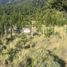  Land for sale in Huiliches, Neuquen, Huiliches