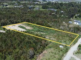  Land for sale in Chile, Puerto Montt, Llanquihue, Los Lagos, Chile