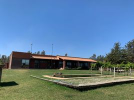  Land for sale in Maule, Vichuquen, Curico, Maule