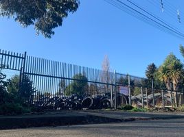  Land for sale in Chile, Puerto Montt, Llanquihue, Los Lagos, Chile