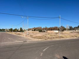  Grundstück zu verkaufen in Lujan De Cuyo, Mendoza, Lujan De Cuyo