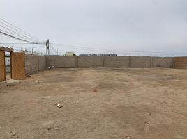 Terrain à vendre à San Bartolo, Lima, San Bartolo, Lima, Lima, Pérou