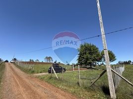  Terreno (Parcela) en venta en Chile, Nueva Imperial, Cautín, Araucanía, Chile
