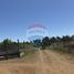  Terreno (Parcela) en venta en Chile, Nueva Imperial, Cautín, Araucanía, Chile
