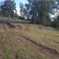  Land for sale in Chile, San Juan De La Costa, Osorno, Los Lagos, Chile