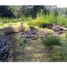  Land for sale in Chile, San Juan De La Costa, Osorno, Los Lagos, Chile