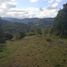  Land for sale in Chile, San Juan De La Costa, Osorno, Los Lagos, Chile