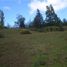  Land for sale in Chile, San Juan De La Costa, Osorno, Los Lagos, Chile