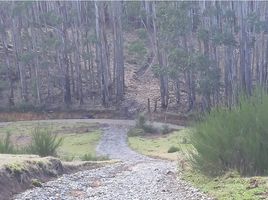  Land for sale in Chile, San Juan De La Costa, Osorno, Los Lagos, Chile