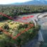  Land for sale in Chile, Chaiten, Palena, Los Lagos, Chile