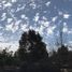 5 Habitación Villa en venta en Santiago, Pirque, Cordillera, Santiago