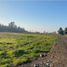  Terreno (Parcela) en venta en Maule, Teno, Curicó, Maule