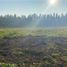  Terreno (Parcela) en venta en Maule, Teno, Curicó, Maule