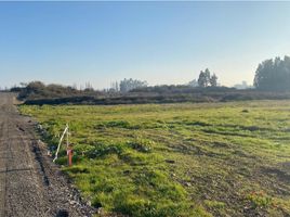  Terreno (Parcela) en venta en Maule, Teno, Curicó, Maule