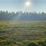  Terreno (Parcela) en venta en Maule, Teno, Curicó, Maule
