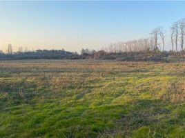  Terreno (Parcela) en venta en Maule, Curico, Curicó, Maule