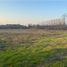  Land for sale in Curico, Maule, Curico, Curico