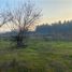  Terreno (Parcela) en venta en Maule, Curico, Curicó, Maule