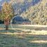  Land for sale in Los Rios, Los Lagos, Valdivia, Los Rios
