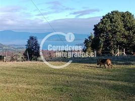  Land for sale in Los Rios, Los Lagos, Valdivia, Los Rios