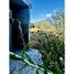  Land for sale in Chile, Mostazal, Cachapoal, Libertador General Bernardo Ohiggins, Chile