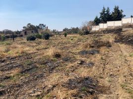  Terreno (Parcela) en venta en Totolapan, Morelos, Totolapan