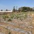  Terreno (Parcela) en venta en Totolapan, Morelos, Totolapan