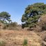  Terreno (Parcela) en venta en Totolapan, Morelos, Totolapan