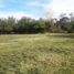  Land for sale in Nueve De Julio, Buenos Aires, Nueve De Julio