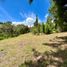  Land for sale in Guarne, Antioquia, Guarne