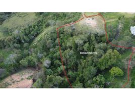  Land for sale in San Vicente, Antioquia, San Vicente