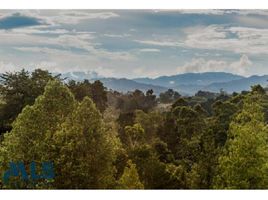  Land for sale in Rionegro, Antioquia, Rionegro