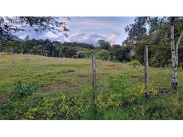  Terreno (Parcela) en venta en El Cerrito, Valle Del Cauca, El Cerrito