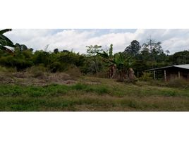  Terreno (Parcela) en venta en Dosquebradas, Risaralda, Dosquebradas