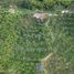 Land for sale in Roldanillo, Valle Del Cauca, Roldanillo