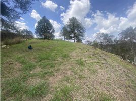  Terreno (Parcela) en venta en El Carmen De Viboral, Antioquia, El Carmen De Viboral