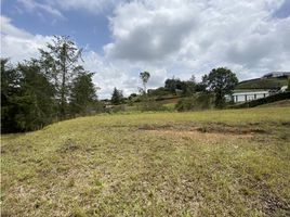  Terreno (Parcela) en venta en El Carmen De Viboral, Antioquia, El Carmen De Viboral